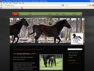Success With Horses